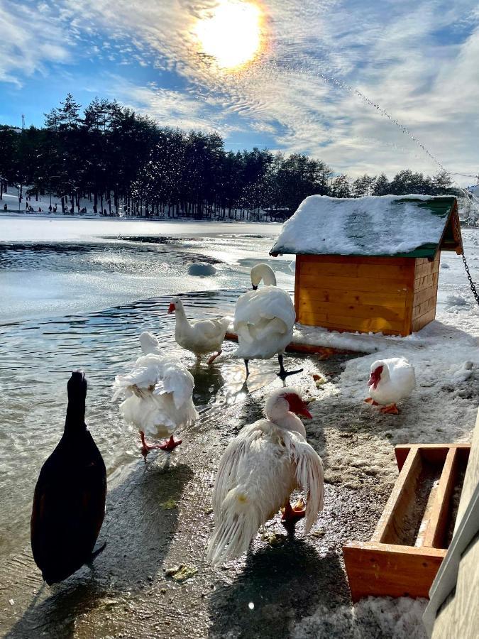 Lux Apartmani Vojinovic Zlatibor Zewnętrze zdjęcie